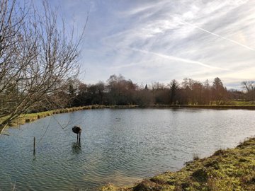 ee7b8da777fab1119f6a4a974fda4b674f1465f6a3409