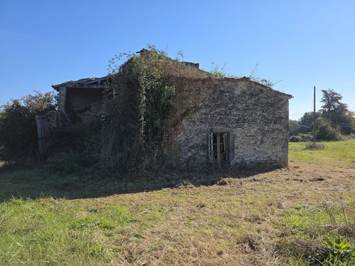 Image No.3-House for sale