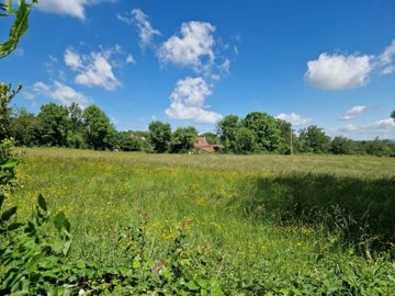 af017ace3470351740a01f47e8f6678d6fe2d54854192