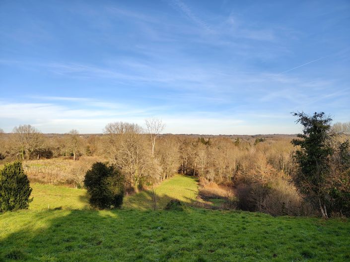 Image No.2-House for sale