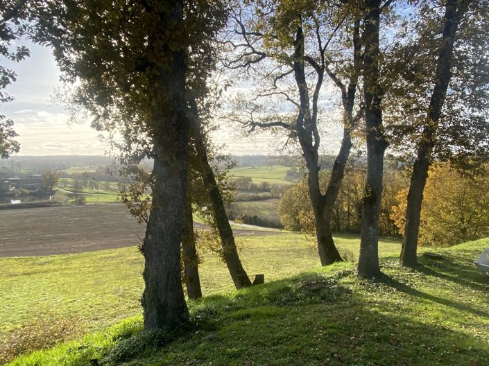 Image No.11-2 Bed House for sale