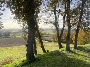 290024b434a66d2876781127d4866099c7377e2733403