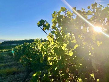 c72f01631dbec6e4a4b10c2cef489b0c76266beda0403