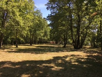 bf1f4ff2f2288e882e8da8fb887fc77f817de43610640