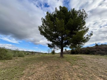 78f61a482cba643ba343c14eec3f4da76d49e587de403