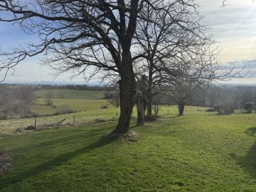 4a1beb58ab198ab316fe57b80667bda30cdbb3216a409