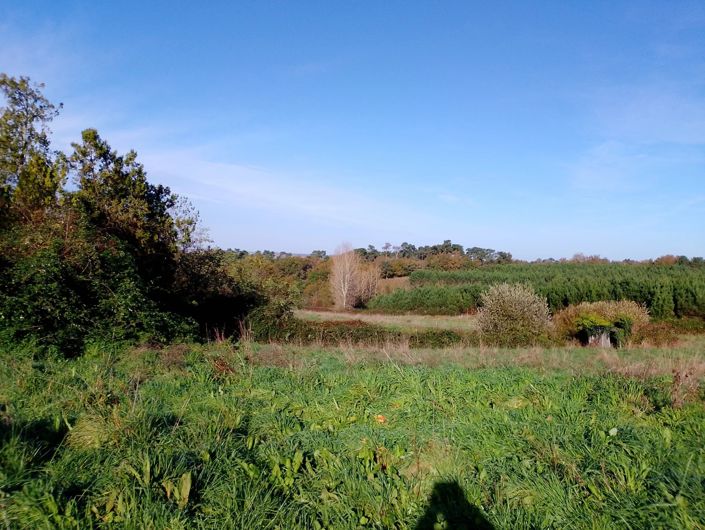 Image No.2-5 Bed House for sale