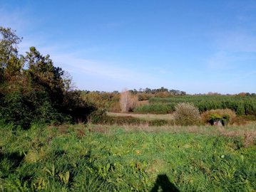 a913191c00557abd8ec75d44919b0a2ce8a1025162192