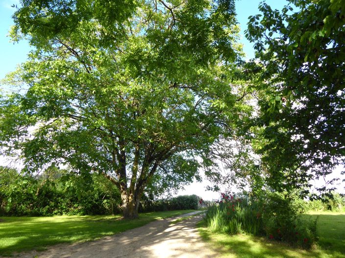 Image No.14-3 Bed House for sale