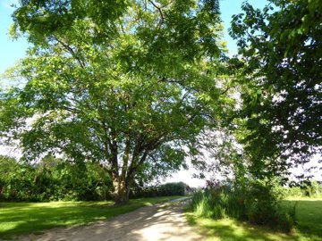 d7ebd94b8393c3beb5ed8225f70399eeacade1d225400