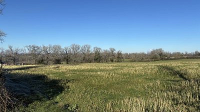 e55fb0b2d9342c0e5d0e7b677e4ca0a517df066aa2409