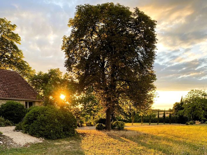 Image No.13-3 Bed House for sale