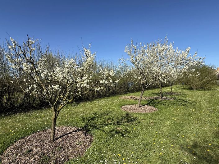 Image No.15-Ferme de 3 chambres à vendre à Cuhon