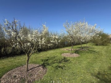 17680041c9d870aea009916d35f35cbac67bf95c8a403