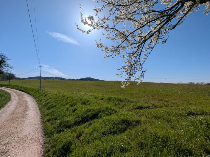 Image No.3-Propriété à vendre à Monflanquin
