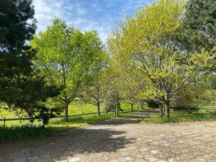 Image No.15-Maison de 4 chambres à vendre à Le Dorat