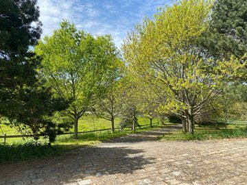 7c54351c89d274b0eafd7d761f0217e71ed36a7e42204