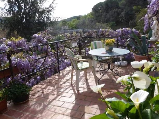 Image No.13-Maison de village de 2 chambres à vendre à Corbère