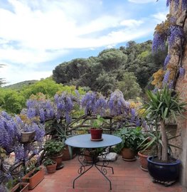 2eca9a3f127eb71060453890870dda6a46ba2a8548192