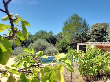 534932e6947cfb978e8e15ddf43cae8c801e36d0ea192