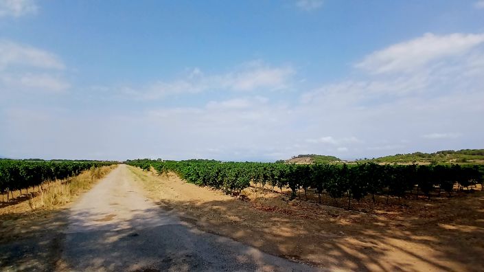 Image No.7-Maison de 8 chambres à vendre à Aude