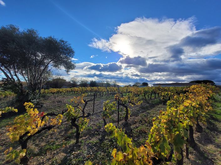 Image No.2-Maison à vendre à Herault