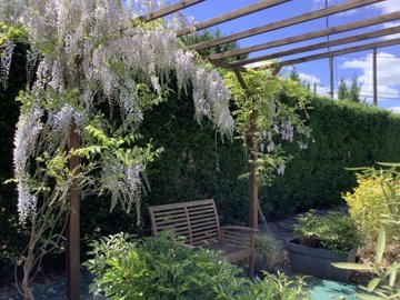 452d1cb76e24a4bc21211c192bb30ca15c1710c056326