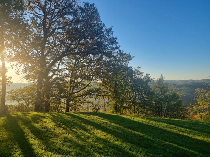 Image No.12-Maison de 6 chambres à vendre à Dordogne