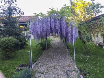 7a7bbb2399f72c0c88c00a090823beb11ea0733dec293