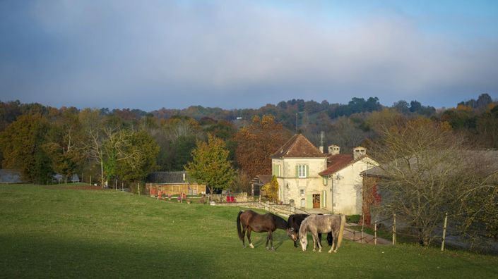 Image No.15-Maison de 7 chambres à vendre à Mareuil