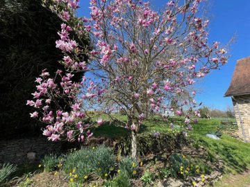 14e8afea8220630109066b3a90a4d1b2c075e326e3201