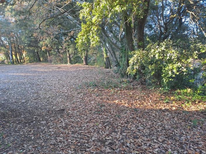 Image No.5-5 Bed House for sale