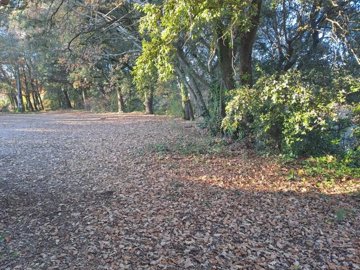 055323393e7dcff2dde12ff15e005e9acb57b6f3a5100