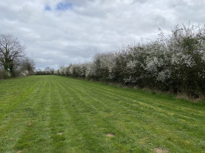 Image No.2-5 Bed House for sale