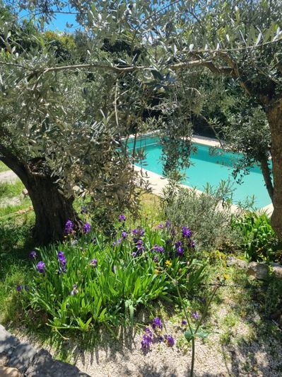 Image No.4-8 Bed House for sale