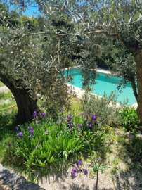 cf6131dbc343762e8588253352284ef4533b4f27c1160