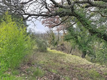 f79f149ec996be4dde8f93762619989081278427ef334