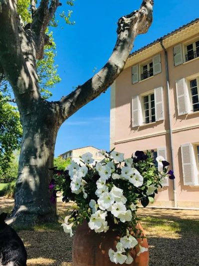 Image No.2-Maison de 5 chambres à vendre à Aups