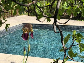 5dba2dc3e15b633cb6a3f4bec36ce9539074232965102