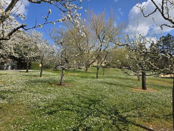 a05cb3ac9e48788f372b41341e539be9639eb41645400