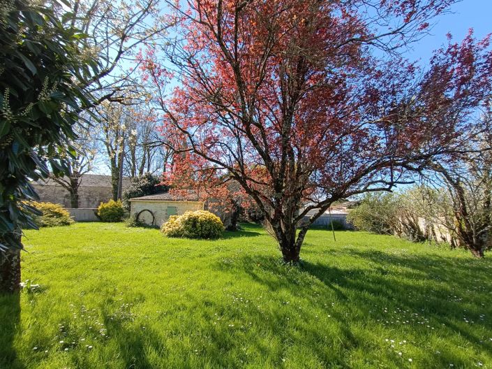 Image No.3-Maison de 5 chambres à vendre à Saleignes