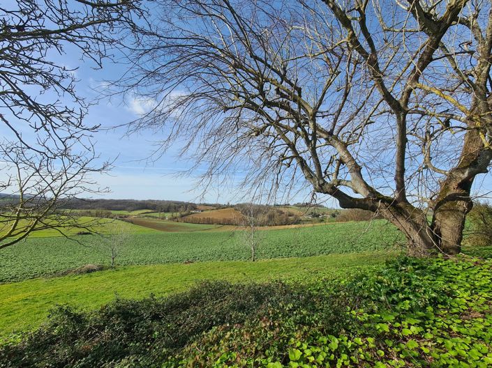 Image No.3-Maison de 3 chambres à vendre à Monclar