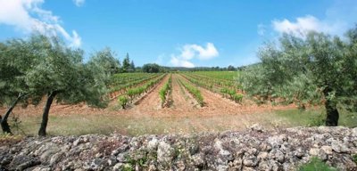 4be34ccb14d94659c71050b12f96fbaa7153992677269