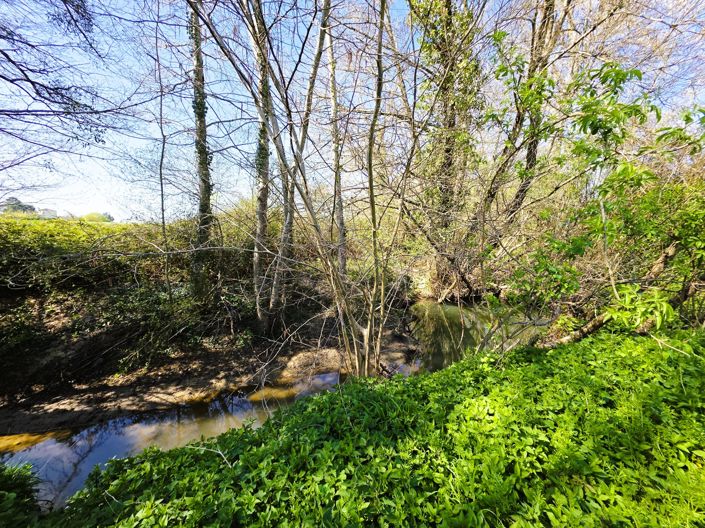 Image No.7-Maison à vendre à Monségur