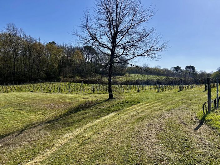 Image No.13-3 Bed House for sale