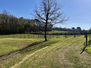 643ecf317951ab465308291c5a517bf943ff3ea51b204