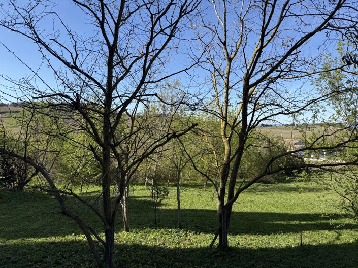 Image No.15-Maison de 3 chambres à vendre à Limoux