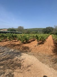 1e6cde9b6f4eb8d4f1600070f4e308f5a252800f19192