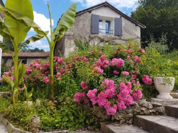 e8e4079a63742ca671c2f90f699a40c3d908cf876e408