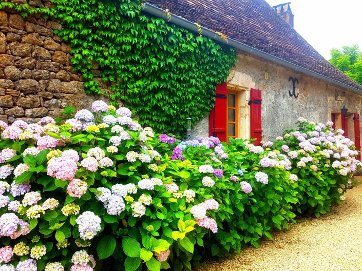 Image No.11-2 Bed House for sale